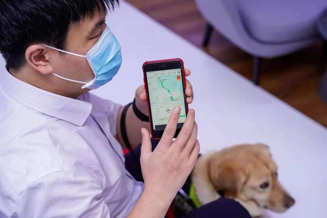 你好导盲犬，请上车