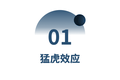 老虎基金的VC打法：你们太没想象力！