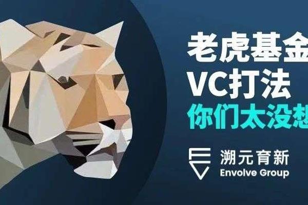 老虎基金的VC打法：你們太沒想象力！_詳細解讀_最新資訊_熱點事件_36氪