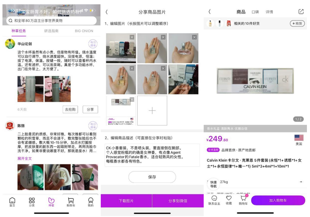 剥开“洋葱”