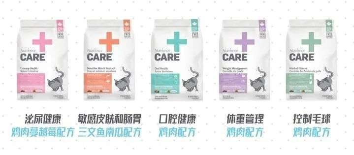 请玻尿酸放过猫猫狗狗
