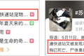 “活体”宠物盲盒再现，生意还在继续……