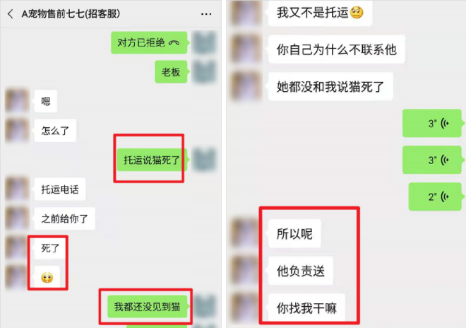 “活体”宠物盲盒再现，生意还在继续……