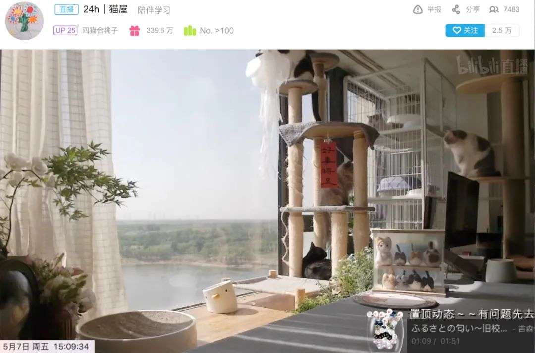 在视频网站直播学习一年涨粉50w，这是什么新财富密码？