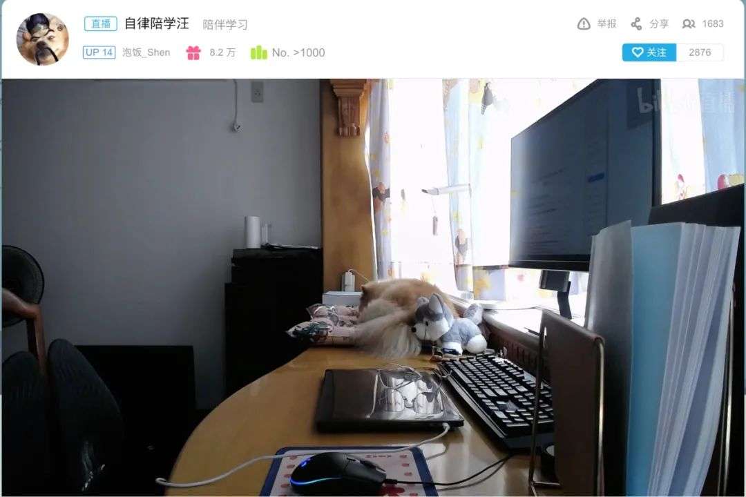 在视频网站直播学习一年涨粉50w，这是什么新财富密码？