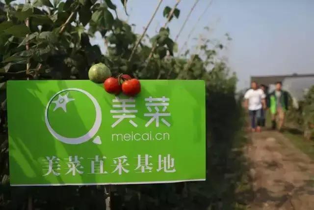 雷军最看重的一次投资，有希望IPO止血吗？