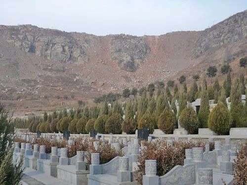 全国只有5所学院开设的殡葬专业，学起来怎么样？