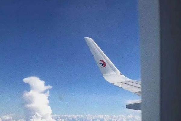 机场酒店40年，新玩家的投资机会在哪？