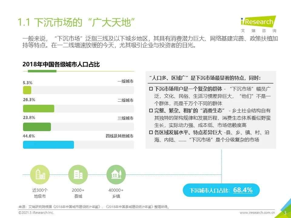 2021年“下沉”市场专题研究报告—电商篇