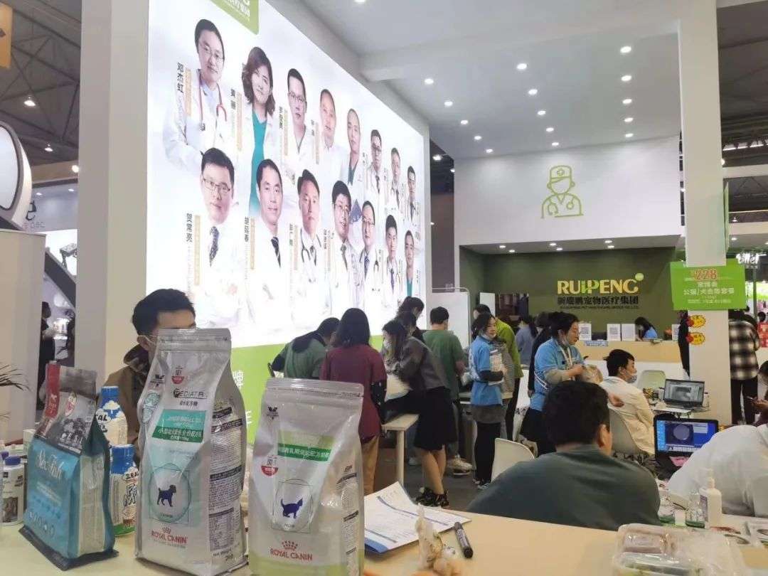 生病动辄花费上千，养宠物堪比养娃：给猫猫狗狗买保险，能拯救铲屎官们的钱包吗？