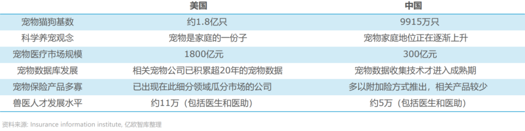 生病动辄花费上千，养宠物堪比养娃：给猫猫狗狗买保险，能拯救铲屎官们的钱包吗？