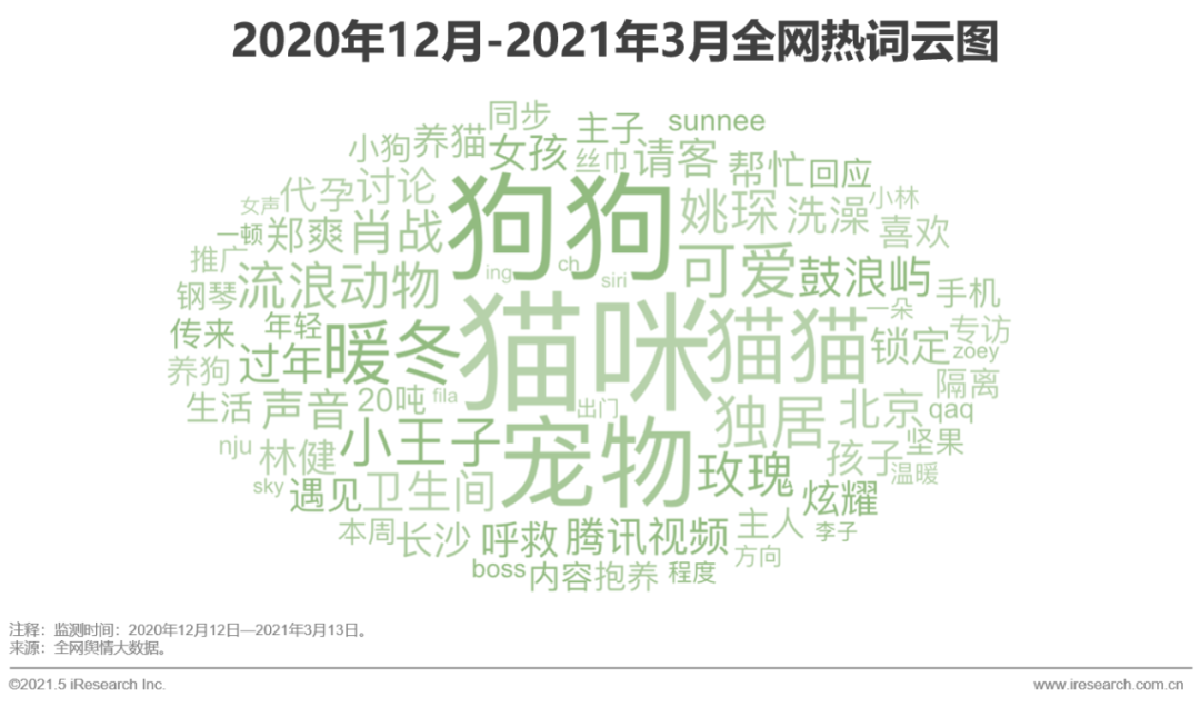 2021年中国宠物消费趋势分析