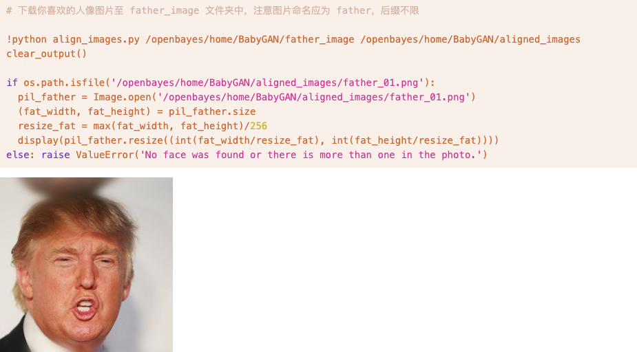 新垣结衣夫妇的孩子长啥样，用 BabyGAN 预测试试