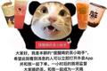 微信群没人说话？只要装上空调、风扇、电视机，就能“活”起来
