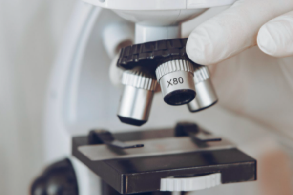 国家级重点专精特新“小巨人”企业名单公示！西安高新区10家企业上榜