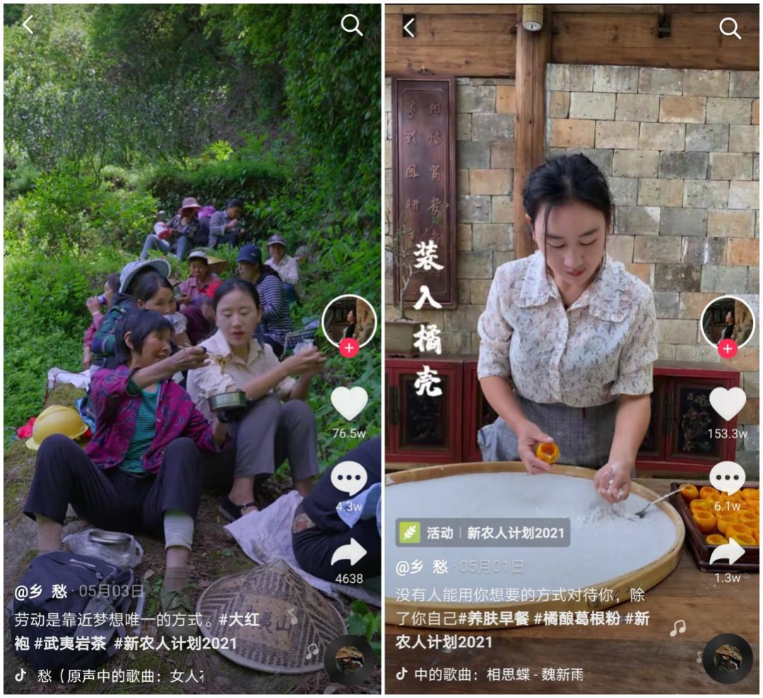 一天涨粉近百万，沈丹的“乡愁”能对标李子柒？