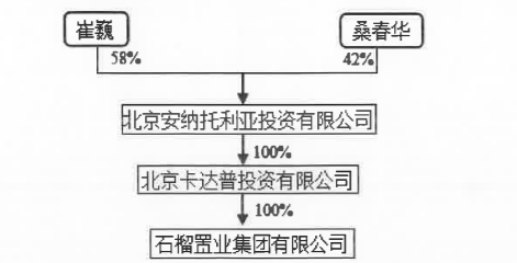 崔巍正在向港交所递上一颗“石榴”