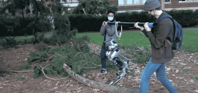 全凭“脚感”： 靠触觉感知世界的机器人，不看路也能稳稳爬楼梯