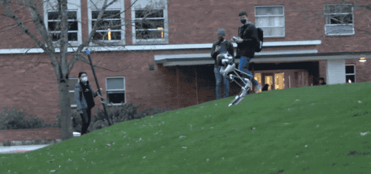 全凭“脚感”： 靠触觉感知世界的机器人，不看路也能稳稳爬楼梯