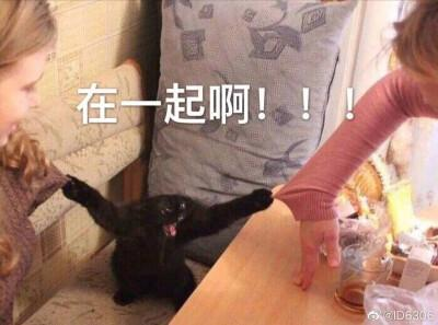 饭圈女孩「嗑CP心态」调查报告