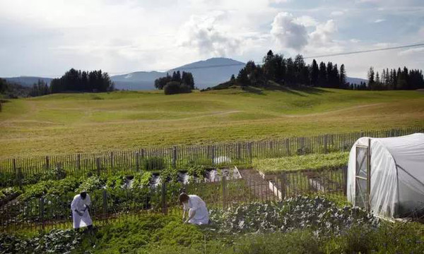 开进沙漠、农场和荒野，这些餐馆老板咋想的？