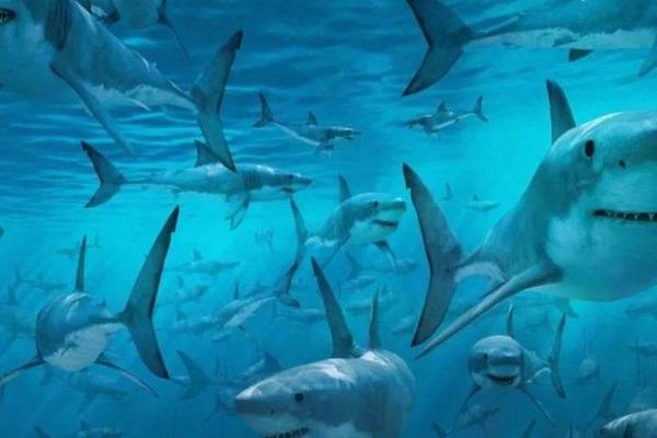 互联网文娱Q1：群体对抗拉开帷幕