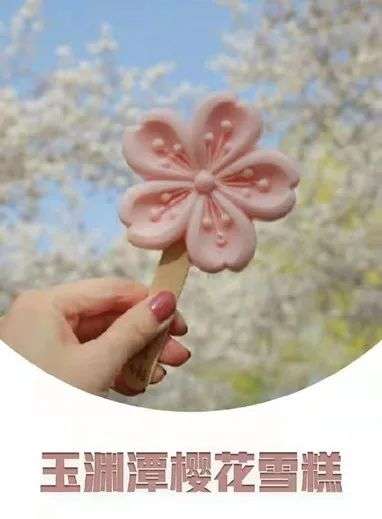 优享资讯 去景点不买网红雪糕 我都不好意思旅游了