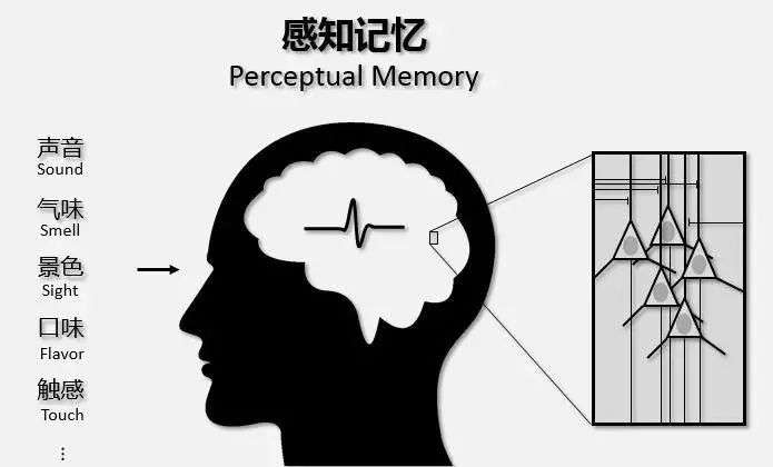 星巴克、茶颜悦色打卡排队的秘密，5步学会打造品牌传播力