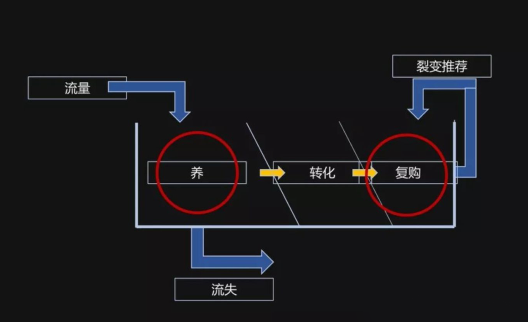 私域流量做“药引”，餐饮行业学着告别“租”来的流量