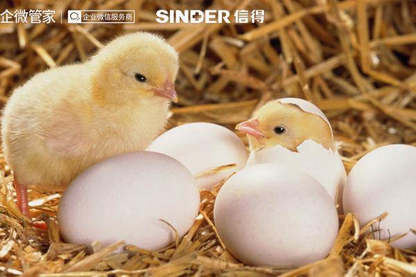 最佳客户实践 | 动保企业信得科技，如何通过微盛·企微管家探寻新型服务模式