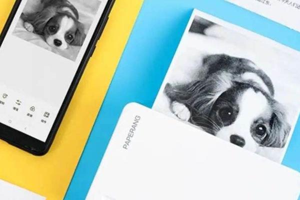 小学生的书包里，怕不是有个电子文具宇宙