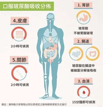 “五问”玻尿酸，从“外补”到“内服”真的行吗？