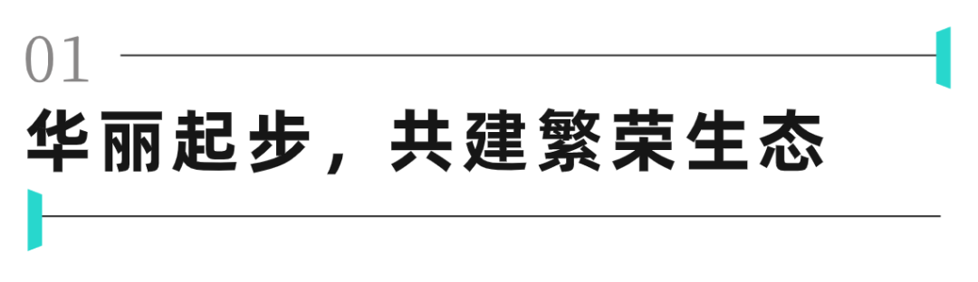 万物接口：鸿蒙OS的统一大业