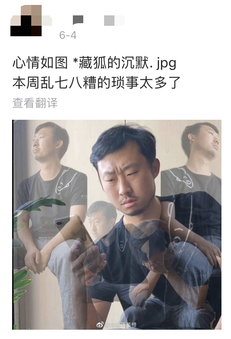 为什么全世界都在用藏狐表情包？