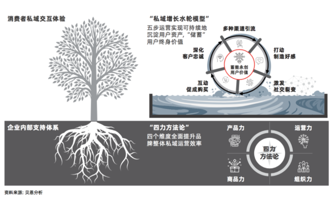 无效私域，增长的隐形毒药