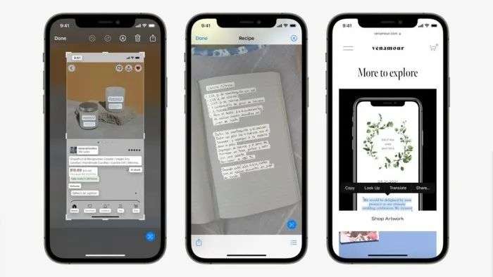 iOS 15“实况文本”对比测试：安卓战现在，苹果“战未来”？