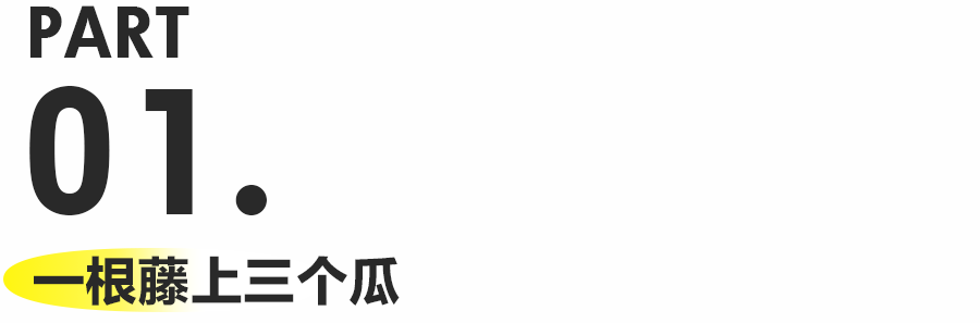 测完19款互联网大厂端午礼盒，我知道下一家公司该去哪了