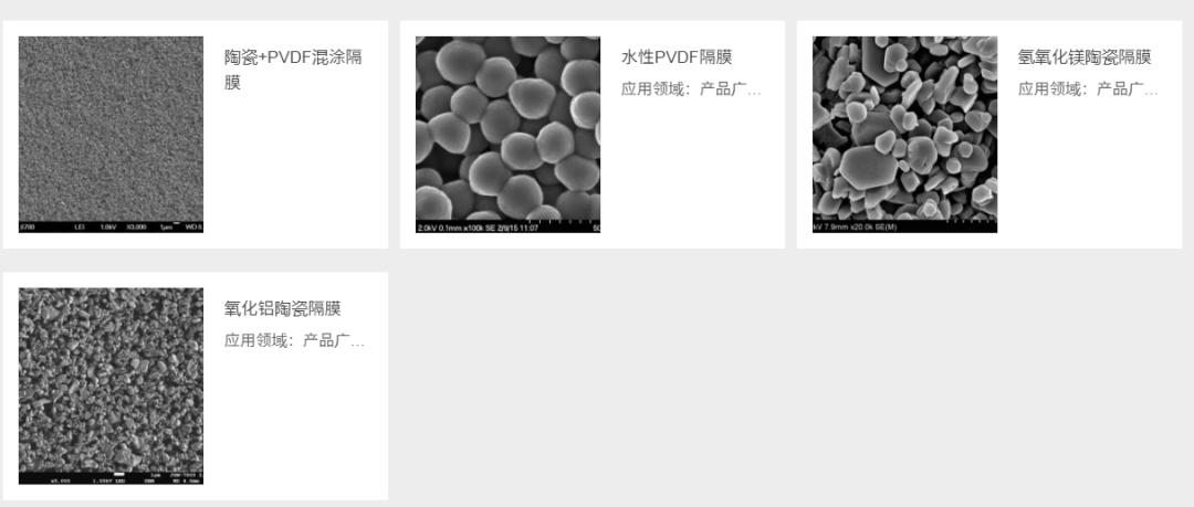 电动车的负极江湖：一代枭雄大有来头