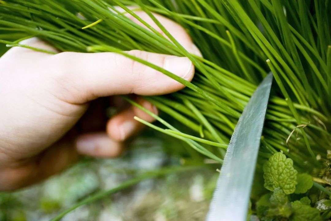 老爷子清仓式减持，朗姿股份挤出125亿泡沫