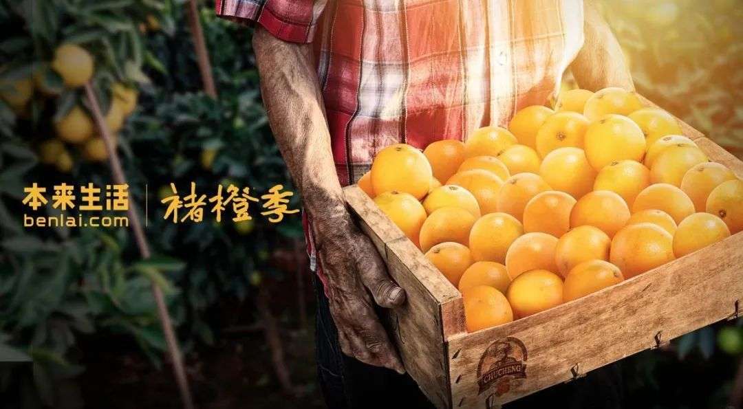 上市的生鲜电商 盈利还差一块 肉