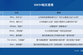 愿景是什么？