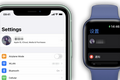 全新的 watchOS 8 能不能让你的 Apple Watch 脱离 iPhone？