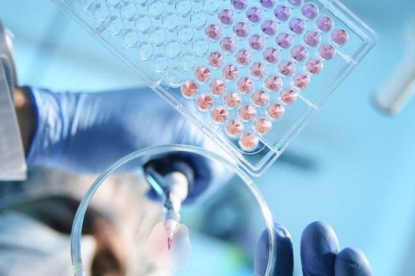 36氪首发|新一代干细胞治疗新锐，「士泽生物」公开已完成数千万元天使轮融资