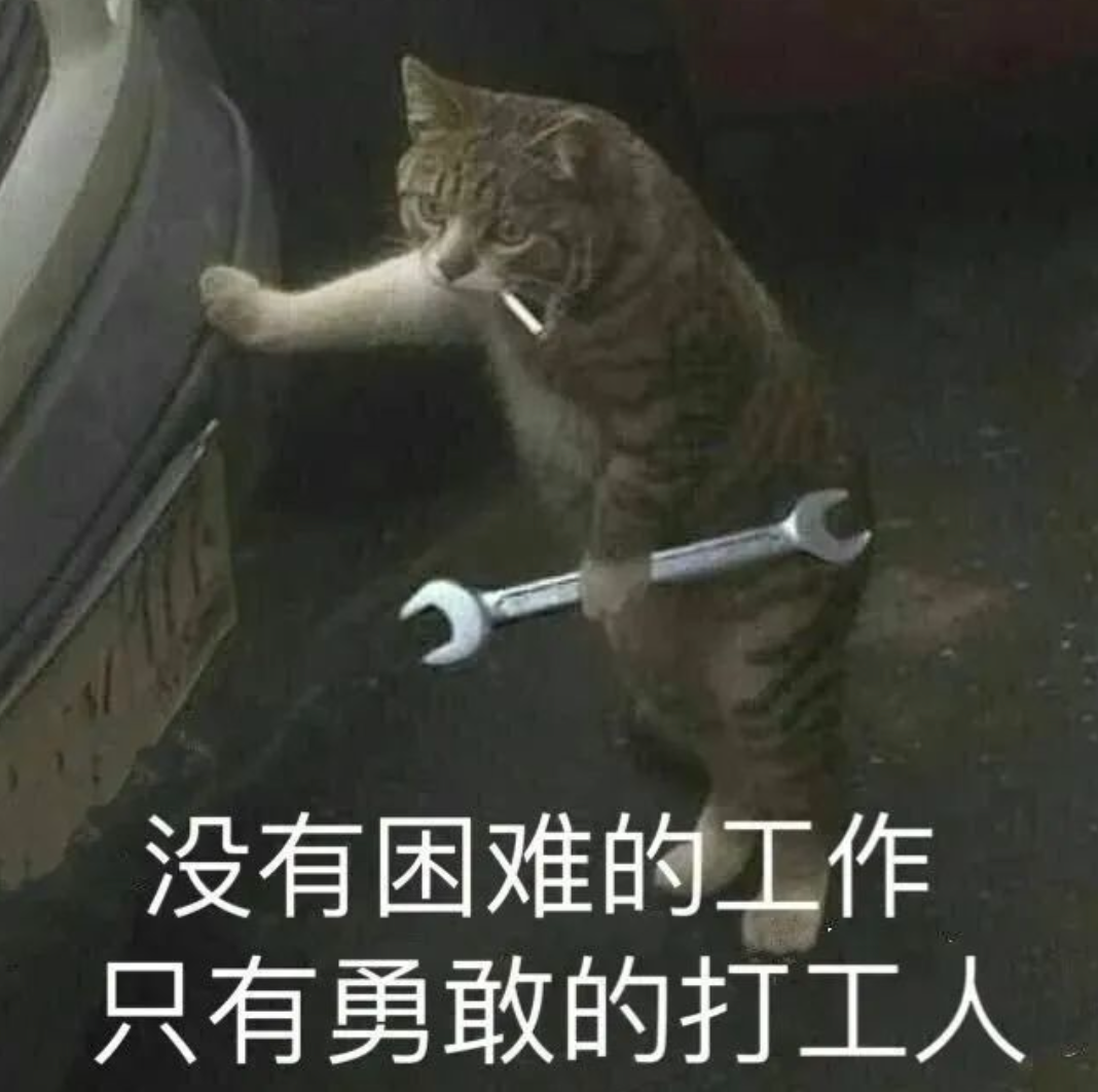 在豆瓣，他们写下N条不上班的理由