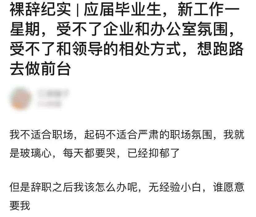在豆瓣，他们写下N条不上班的理由