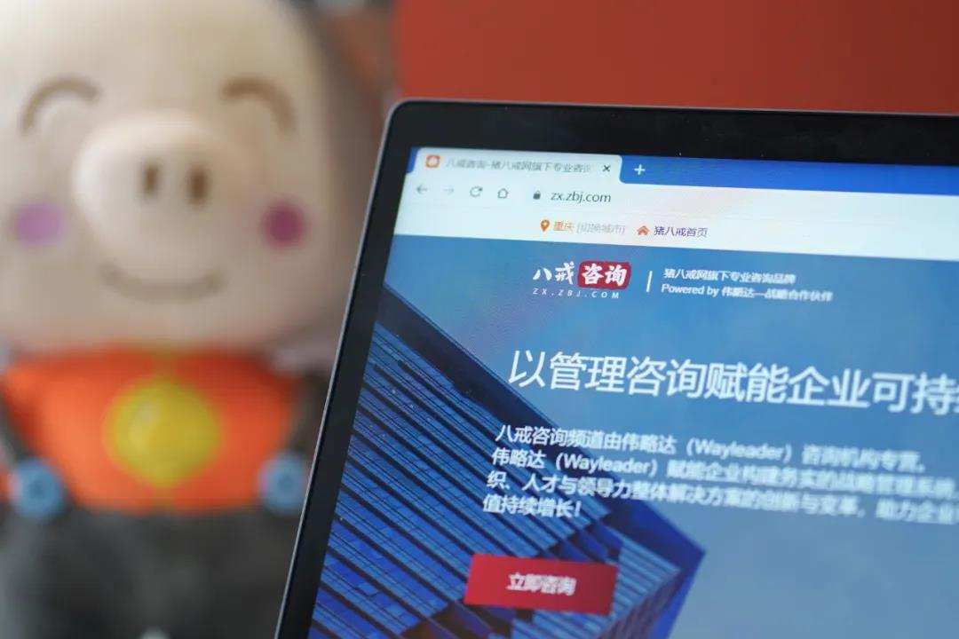 “我见过太多的产业规划，这次真被猪八戒震住了。”
