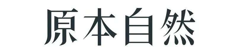 青松系企业「原本自然」获数千万投资，打造属于年轻人的新健康消费品牌