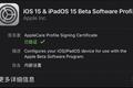 苹果发布iOS 15、iPadOS 15首个公测版本