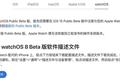 watchOS 8 公测版来了，这 20+ 个新功能值得一试