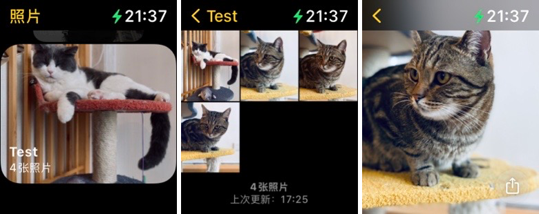 watchOS 8 公测版来了，这 20+ 个新功能值得一试